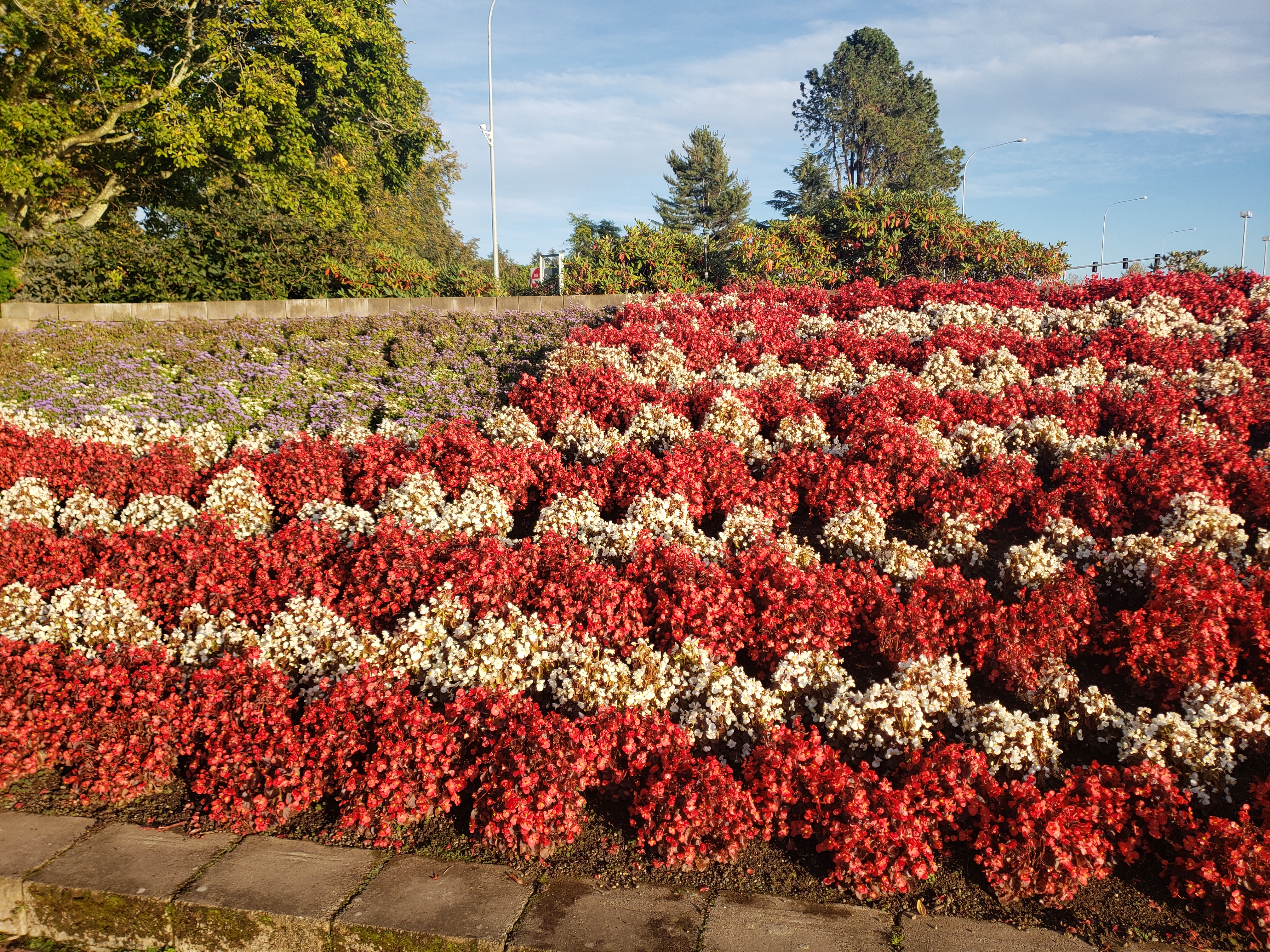 Le drapeau américain en fleurs. Pas un grand succès